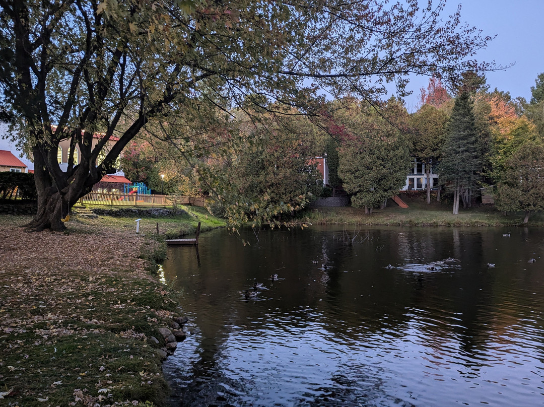 Hotel Cheribourg主图