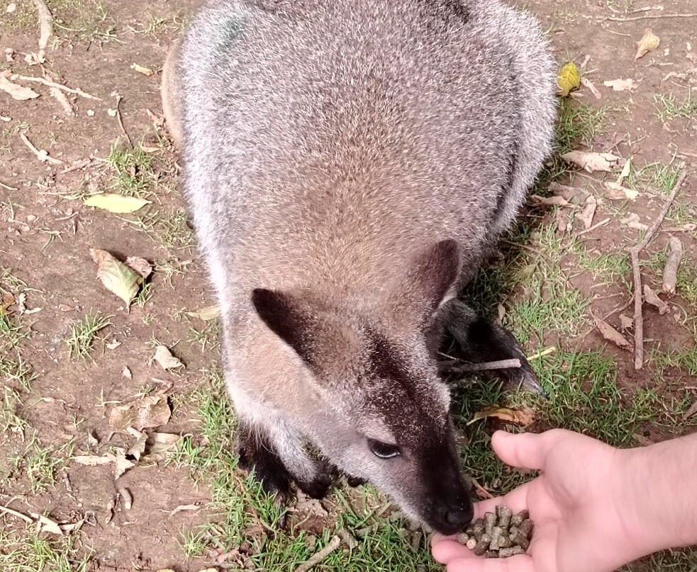 Manor Wildlife Park-St. Florence必去景点