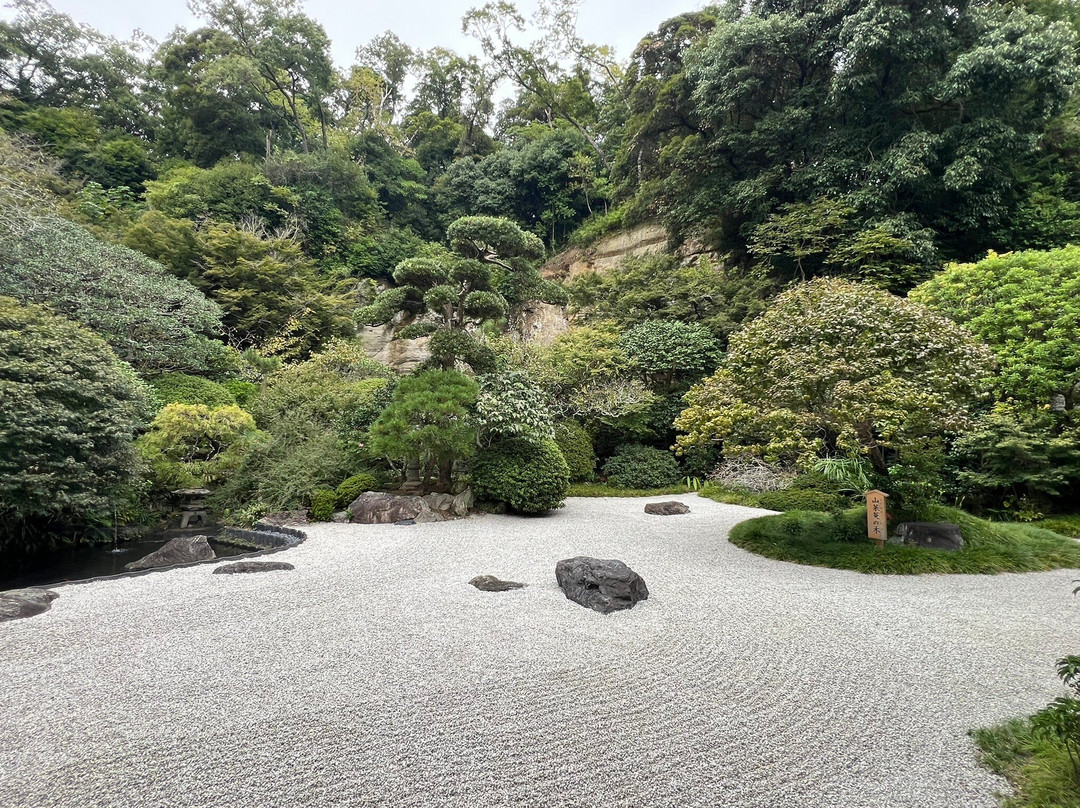 Hokoku-ji Temple Bamboo Grove-镰仓市必去景点