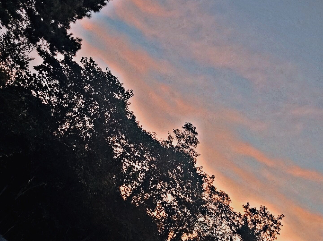 格林斯伯勒机场红屋顶酒店主图