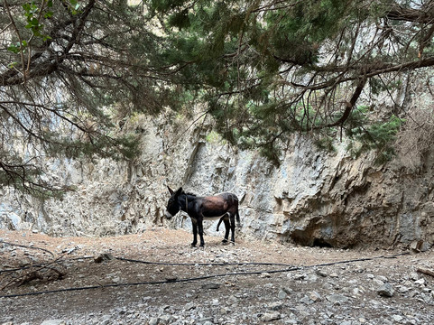 DESTINATION PLATANIAS-Platanias必去景点