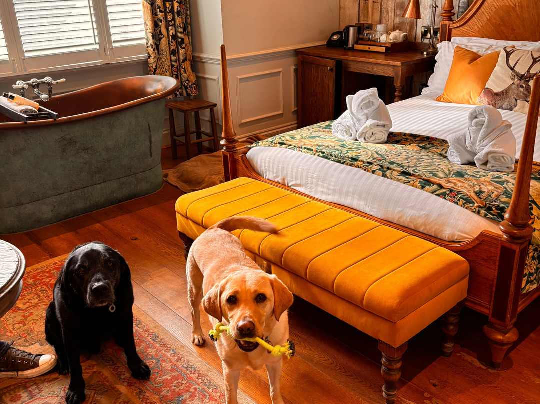 The Bear of Burton主图