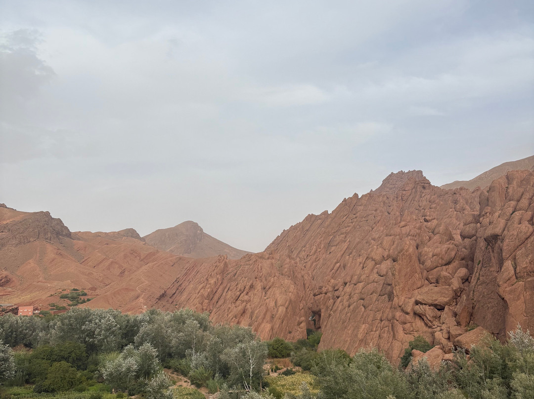 Private Desert Tours-迈哈米德必去景点