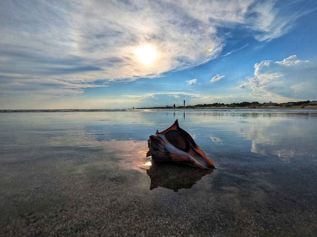 Sullivan's Island Beach-Sullivan's Island必去景点