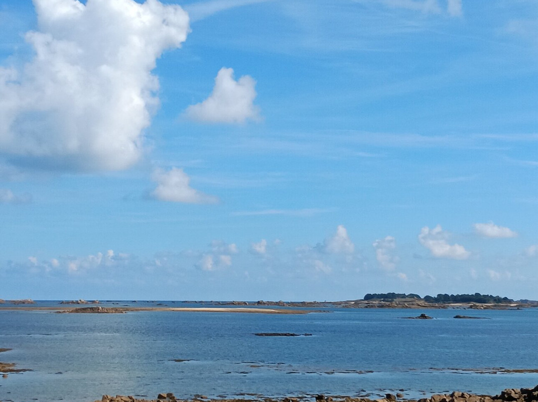 Bar à huîtres du Sillon