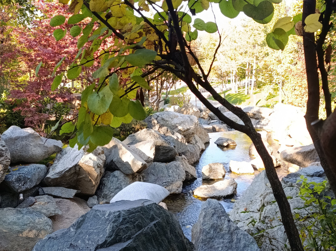 Japanese Garden