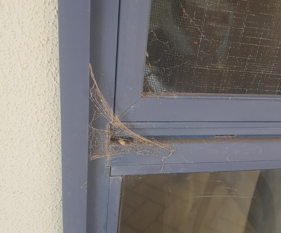 Comfort Inn & Suites Augusta Westside主图