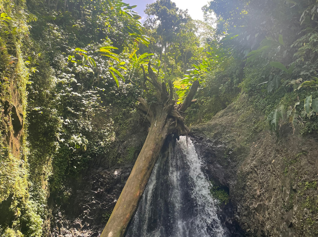 Seven Sisters Waterfalls Grenada-Grand Etang National Park必去景点