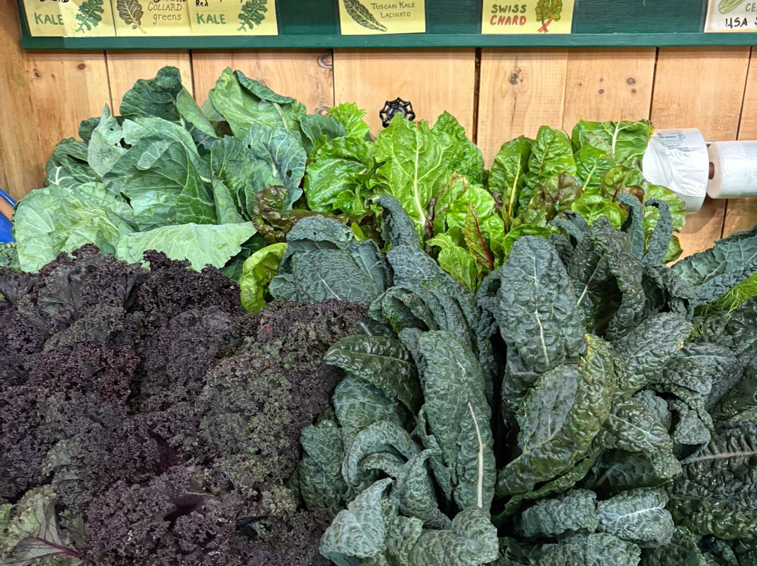 Morning Glory Farm-Edgartown必去景点