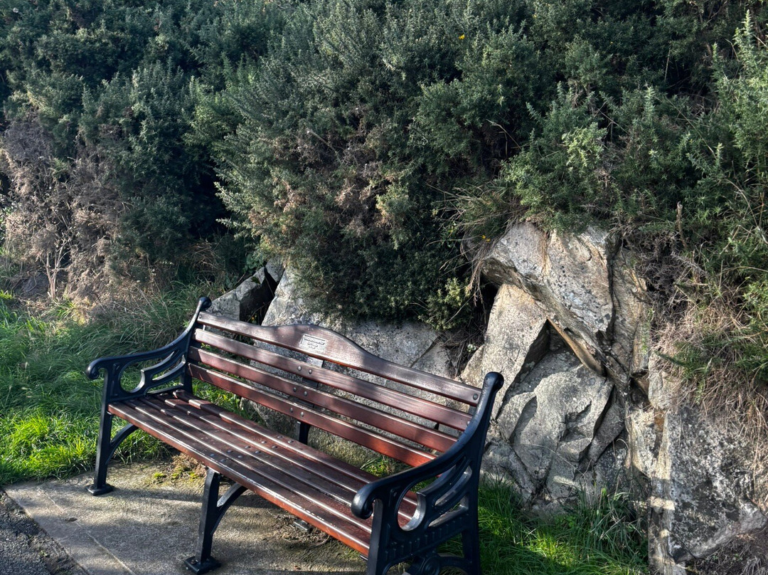 Killiney Hill Park-当莱瑞必去景点