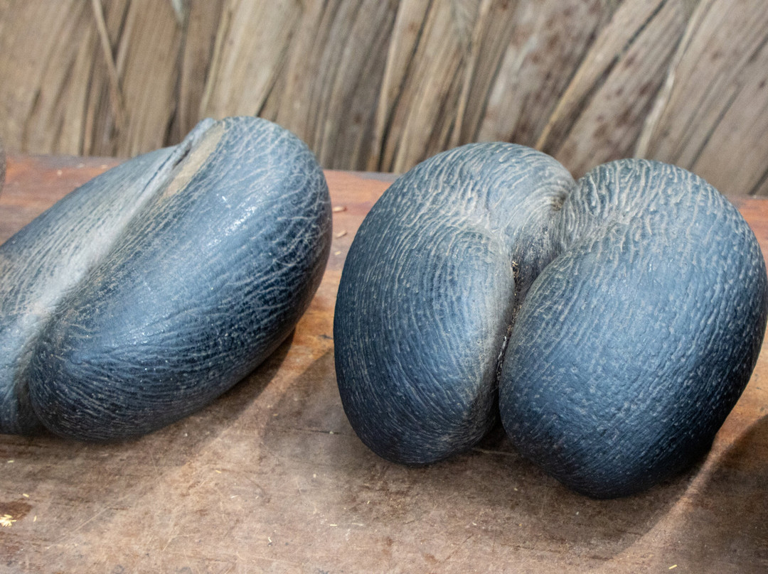 Dave's  Tour-普拉兰岛必去景点