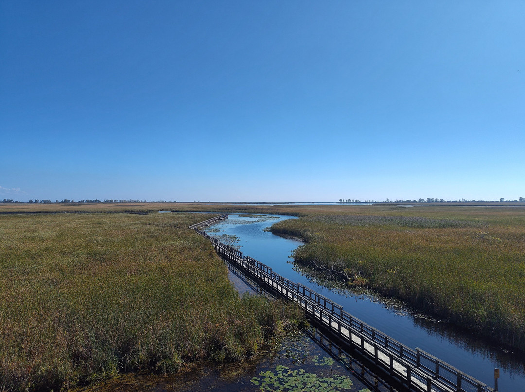 Point Pelee National Park-利明顿必去景点