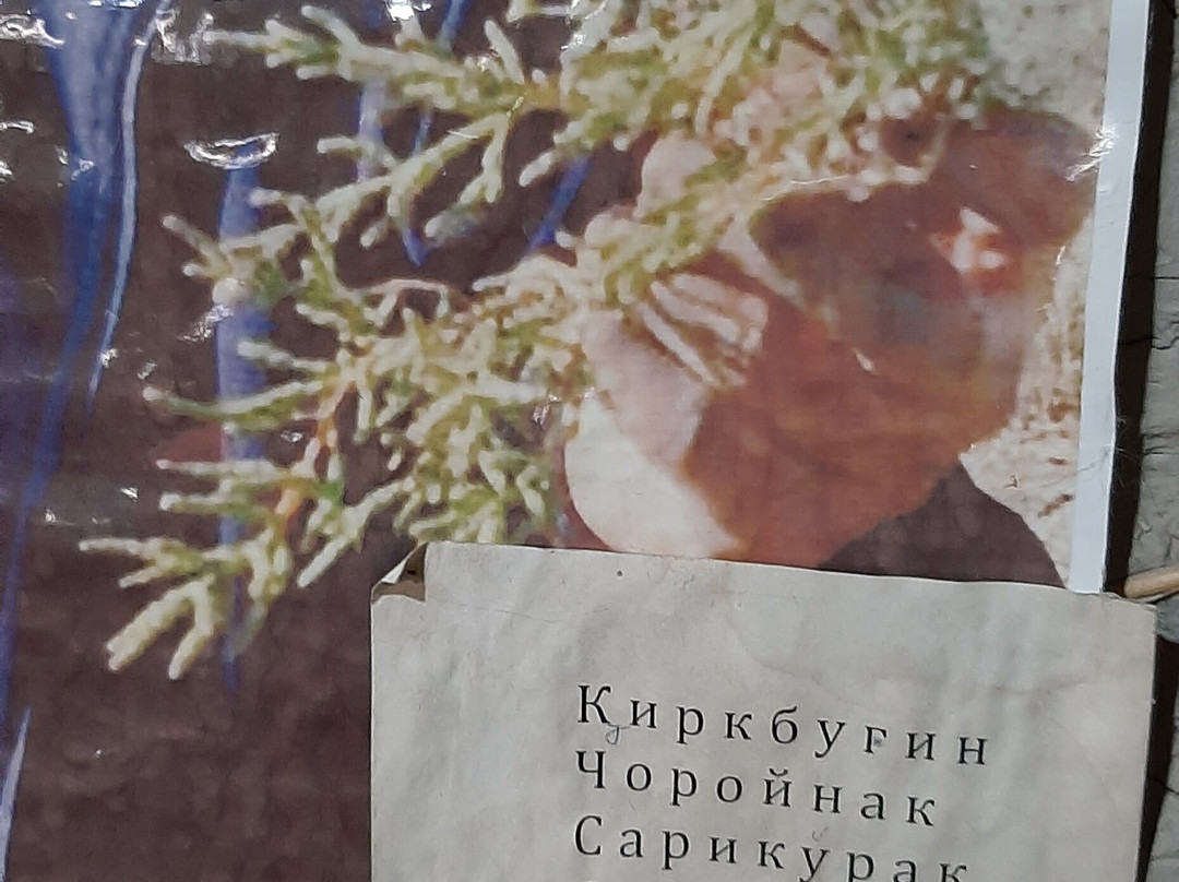 Gijduvan ceramics of The Narzullaevs-Gijduvan必去景点