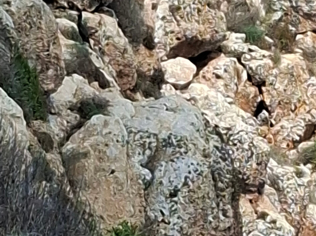 National Park Cap de Barbaria