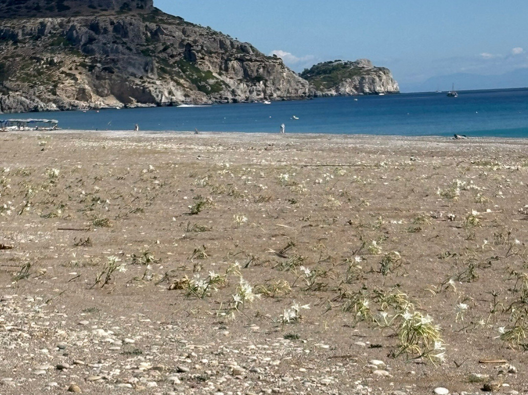 Afandou Beach-Afandou必去景点
