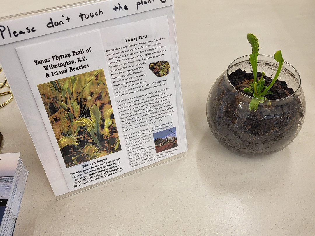 I-95 North Carolina Welcome Center-Rowland必去景点