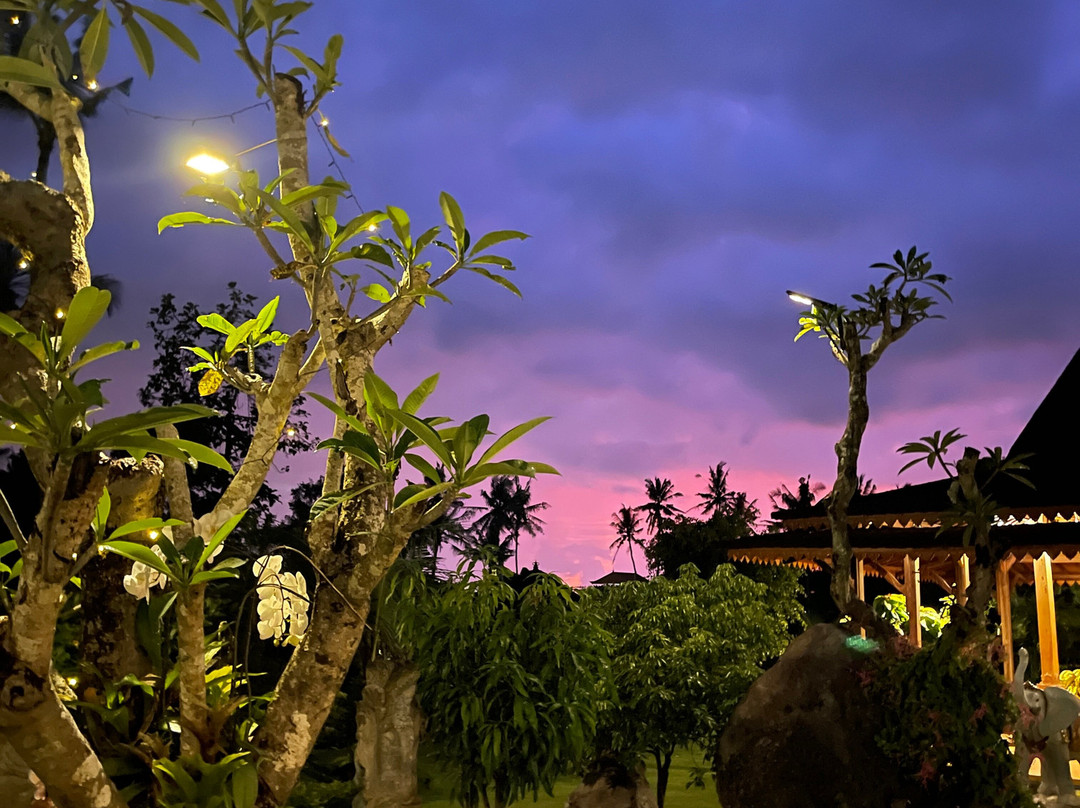 Pangkung Carik Villa by Pramana主图