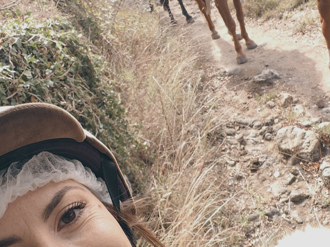 The Island of Wonders | Sicily and Etna Excursions-Randazzo必去景点