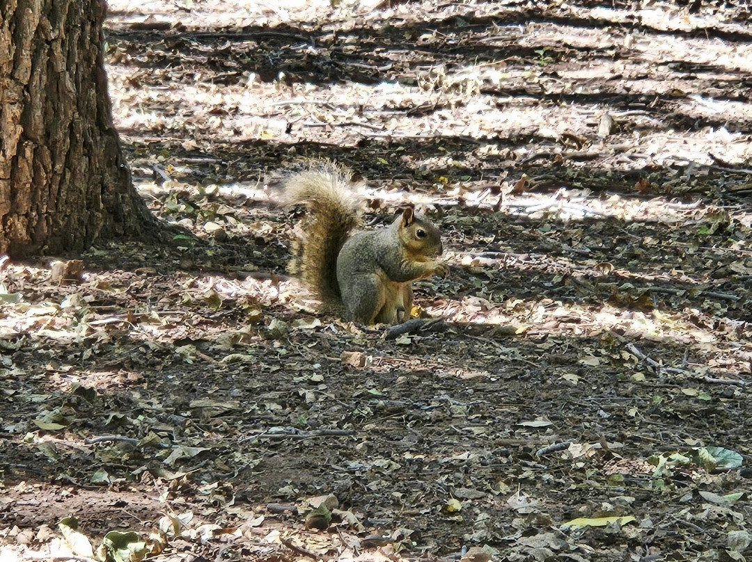 Abilene State Park-Tuscola必去景点
