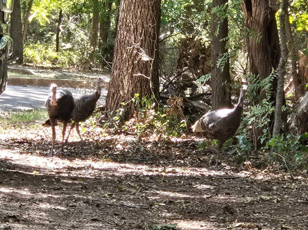 Abilene State Park-Tuscola必去景点