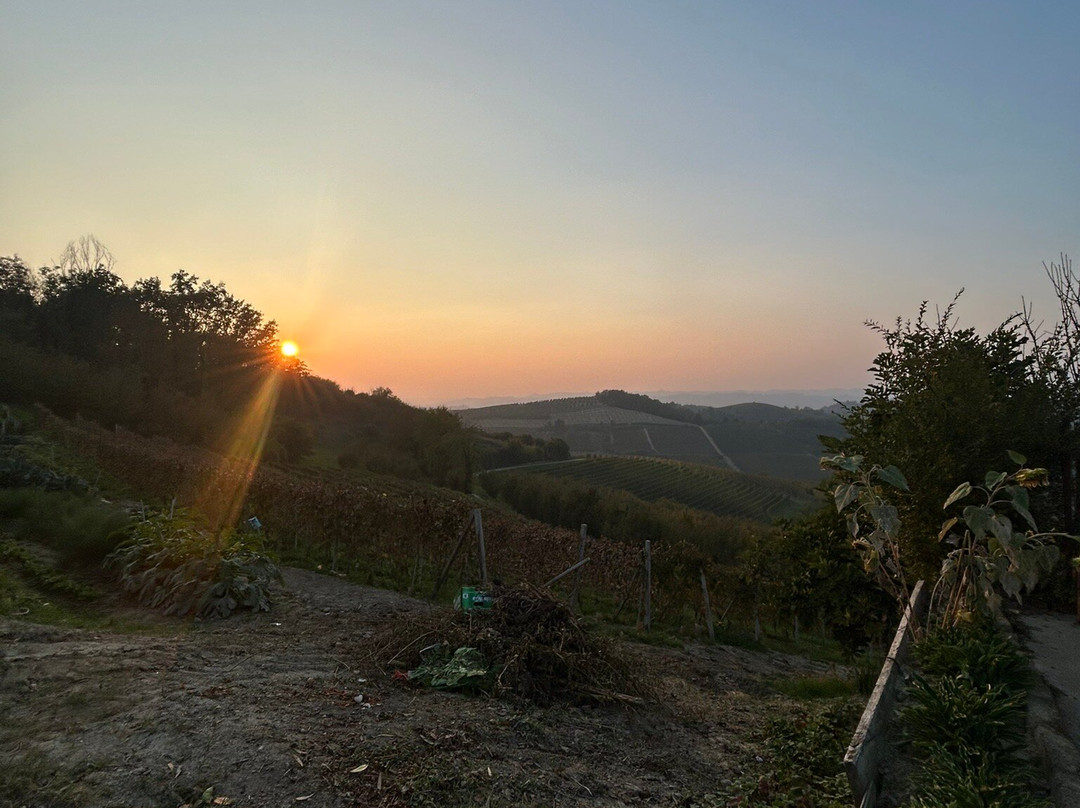 Agriturismo Monbertola主图