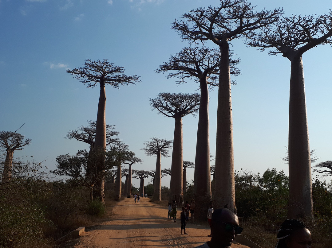 Manja Tours Madagascar-安塔那那利佛必去景点