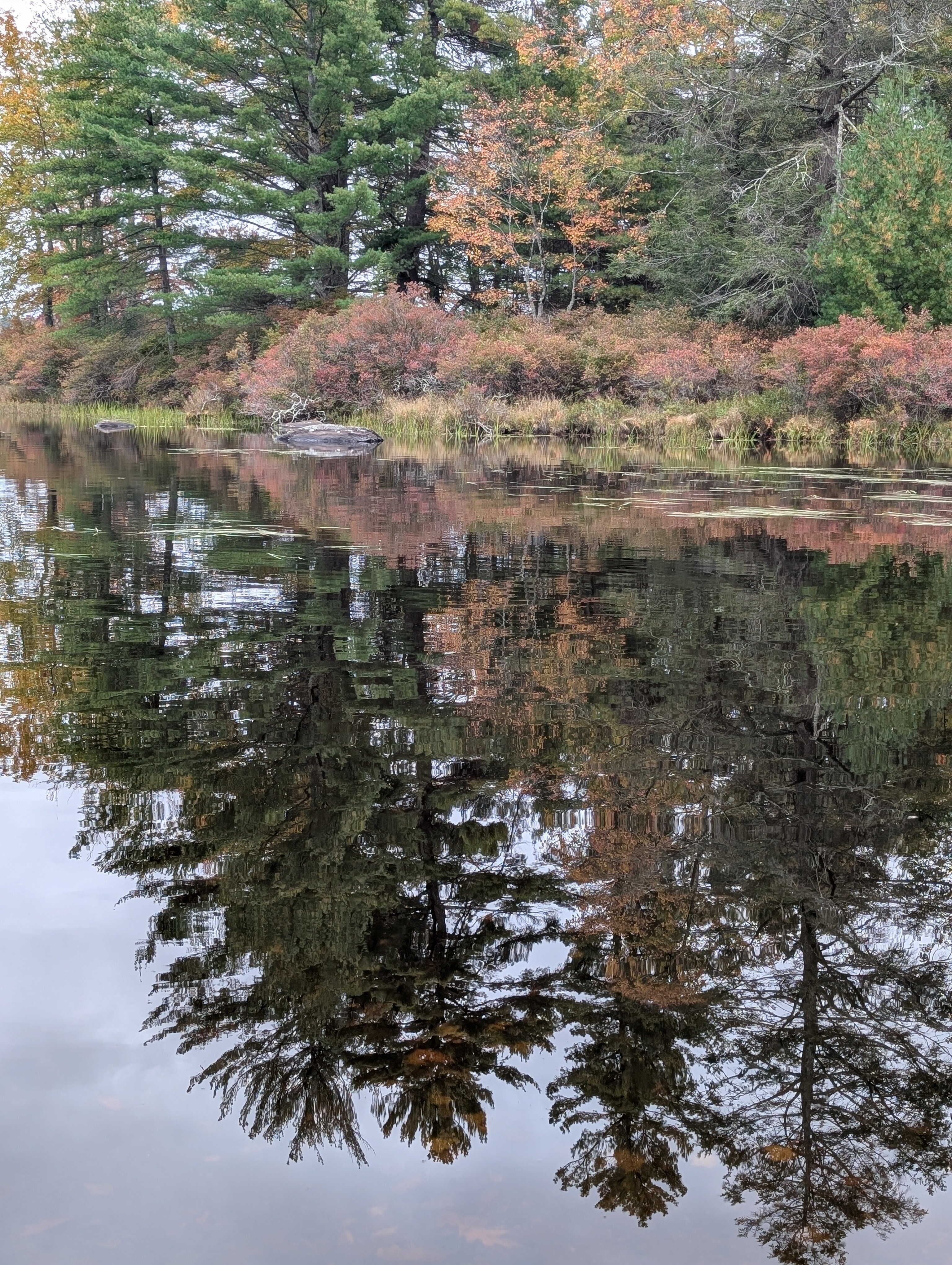Inn At Lake Joseph-浴室
