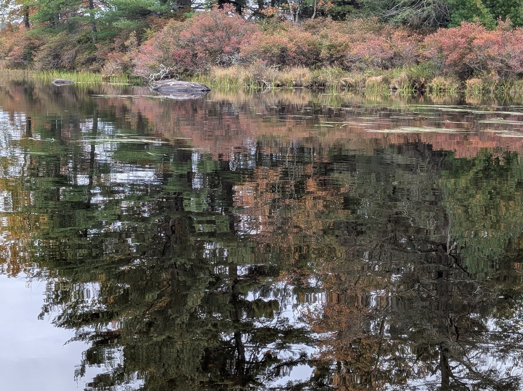 Inn At Lake Joseph主图