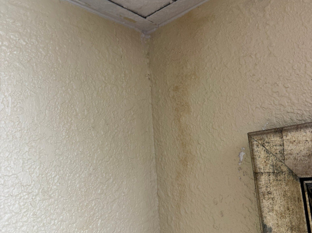 SureStay by Best Western Charlotte Matthews主图