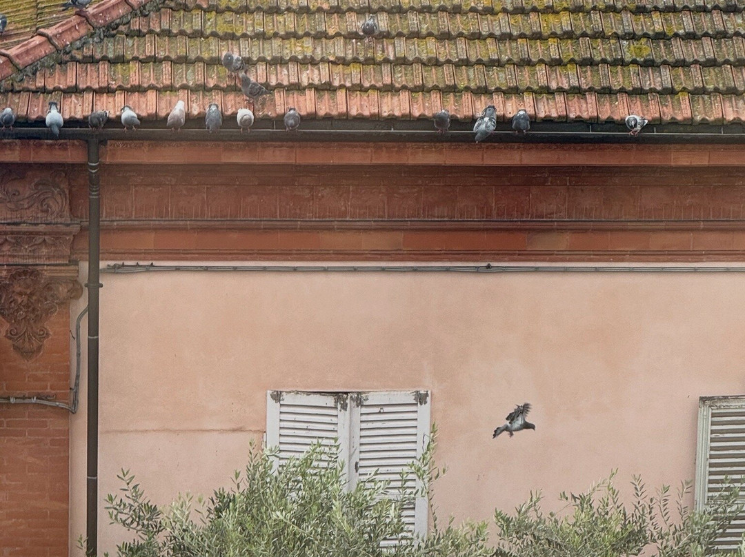 Palazzo Bezzi主图
