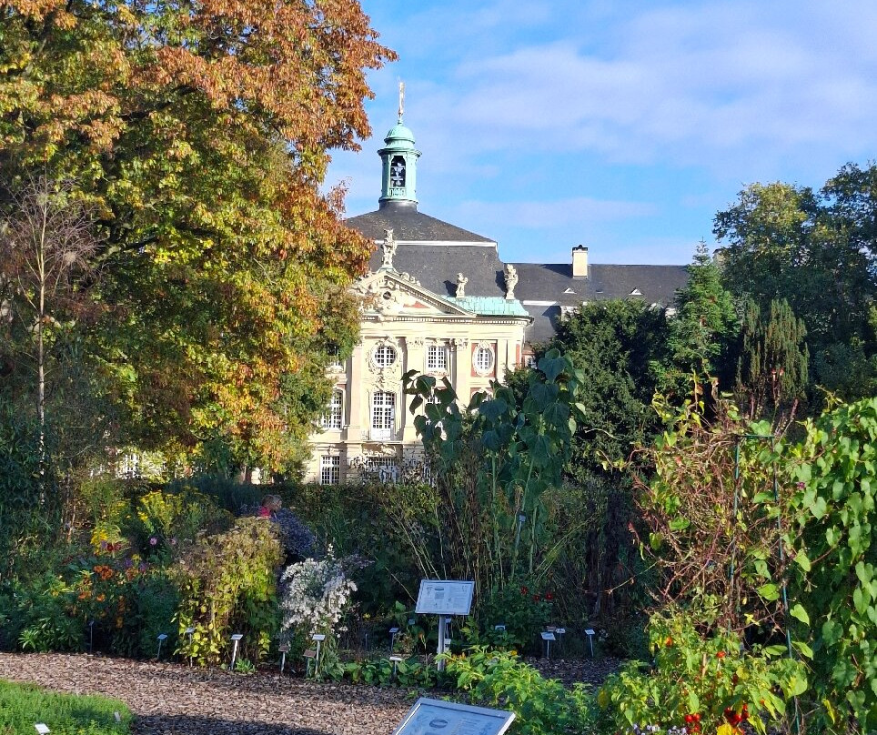 Botanical Garden Münster-明斯特必去景点