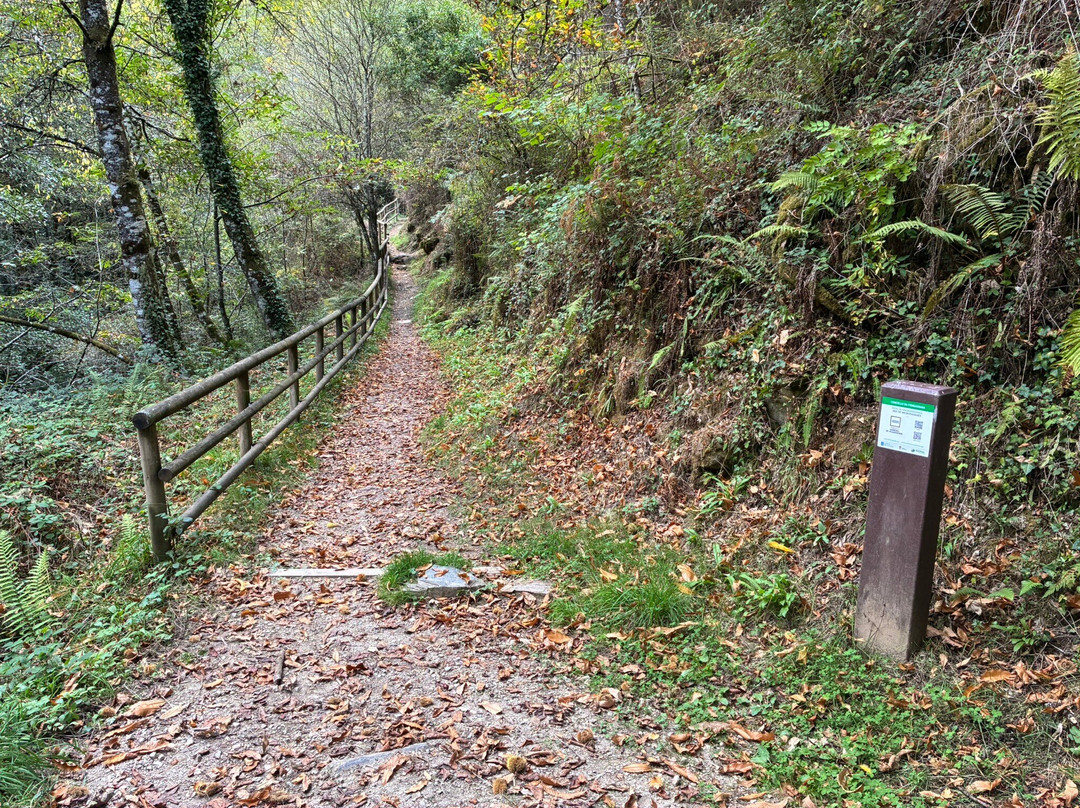 Cascada A Seimeira de Vilagocende-Fonsagrada必去景点