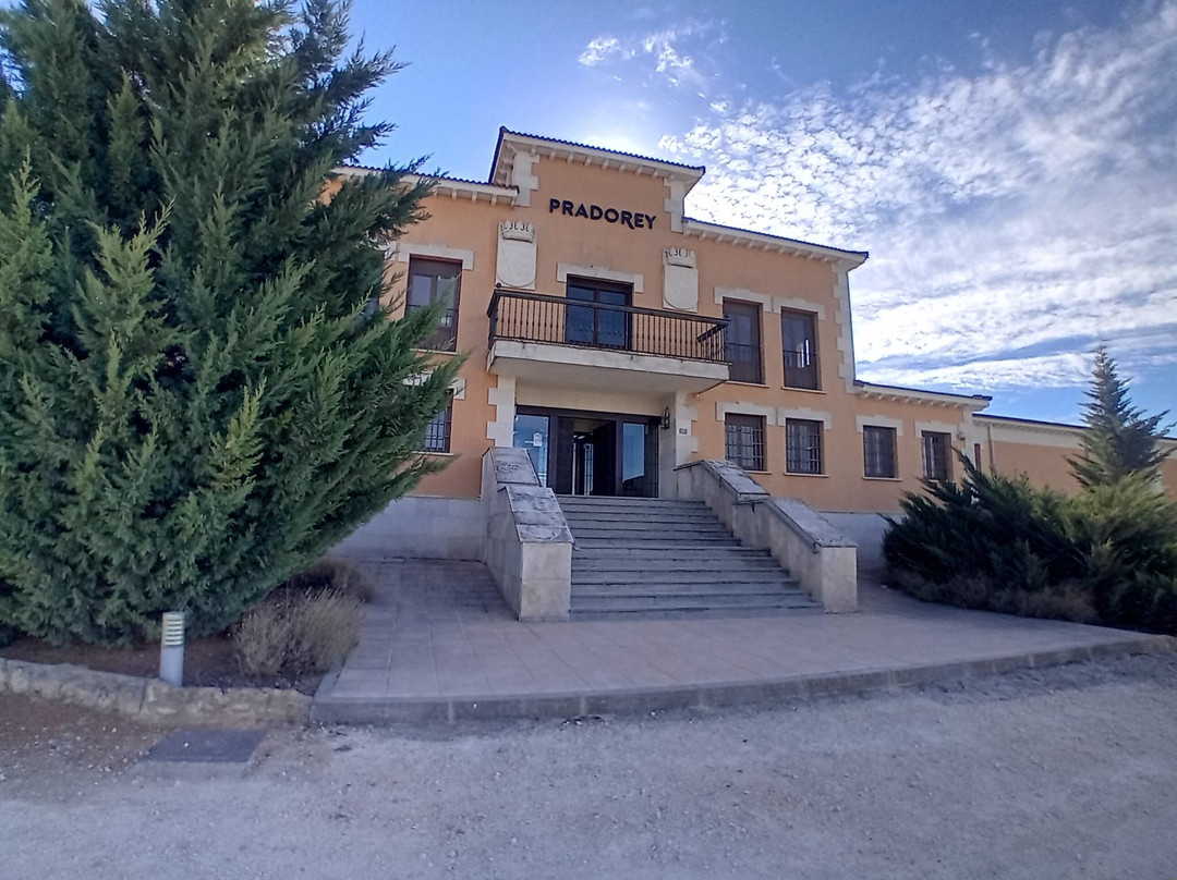 Bodegas Y Vinedos PradoRey-Gumiel Del Mercado必去景点
