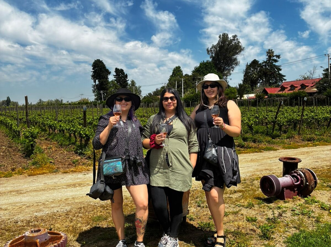 Viña Butron Budinich-兰卡瓜必去景点