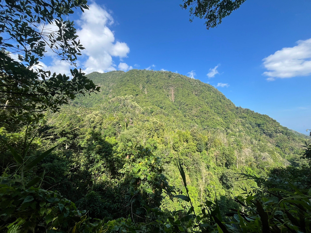 Sekumpul Bali Hidden Space