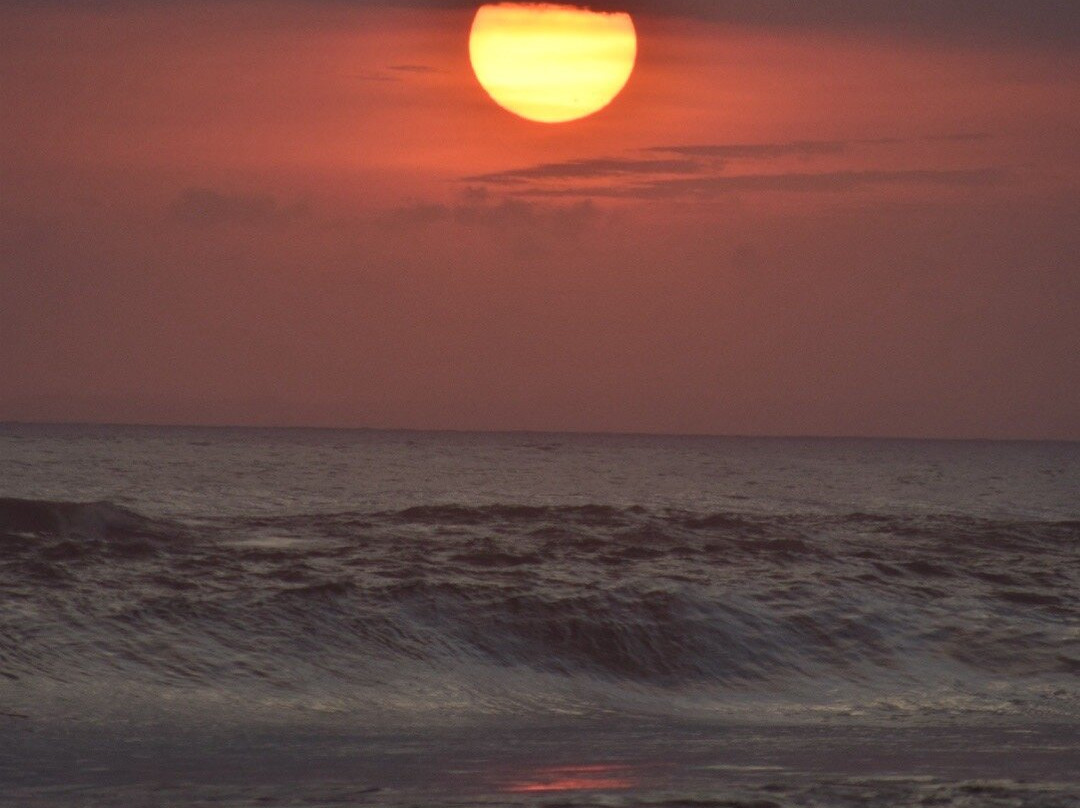 Pondok Pitaya: Hotel, Surfing and Yoga主图