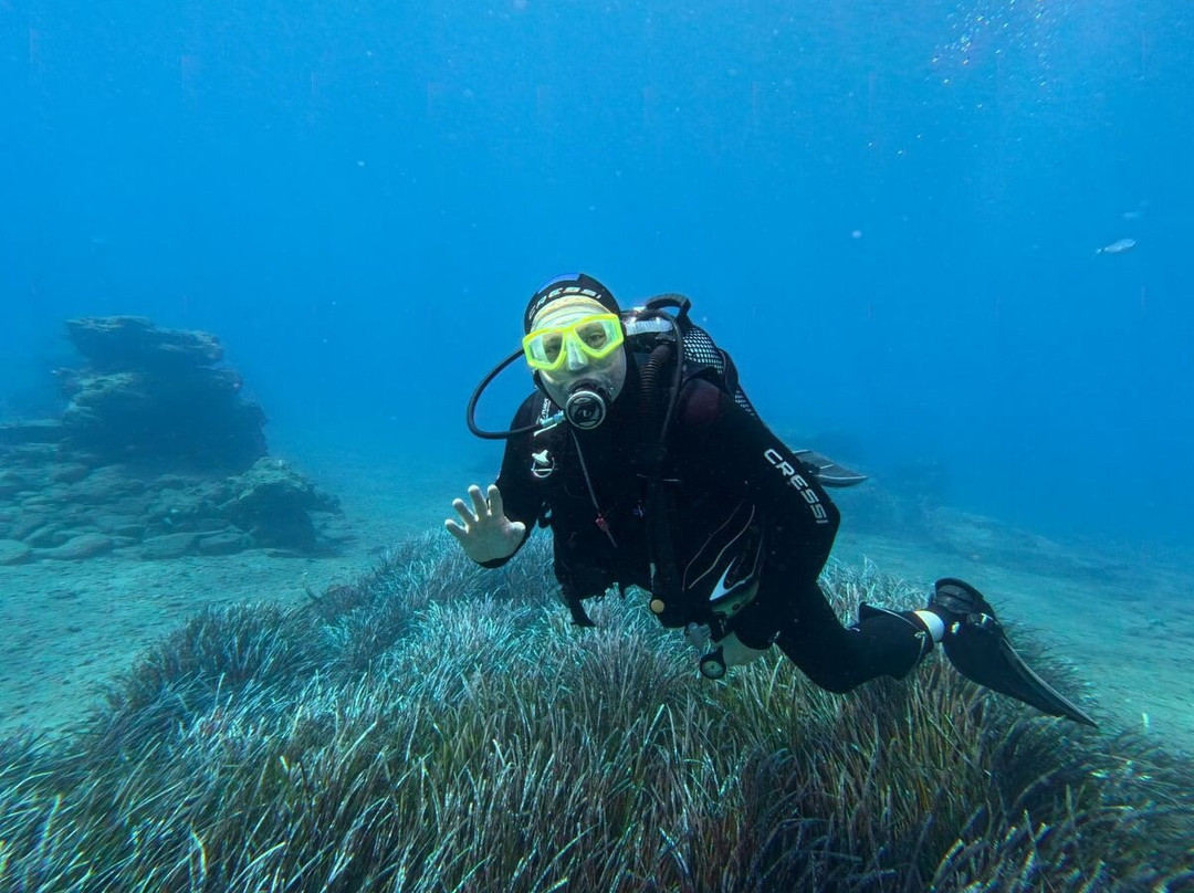 Dolphin Diving Center-雷斯蒙必去景点