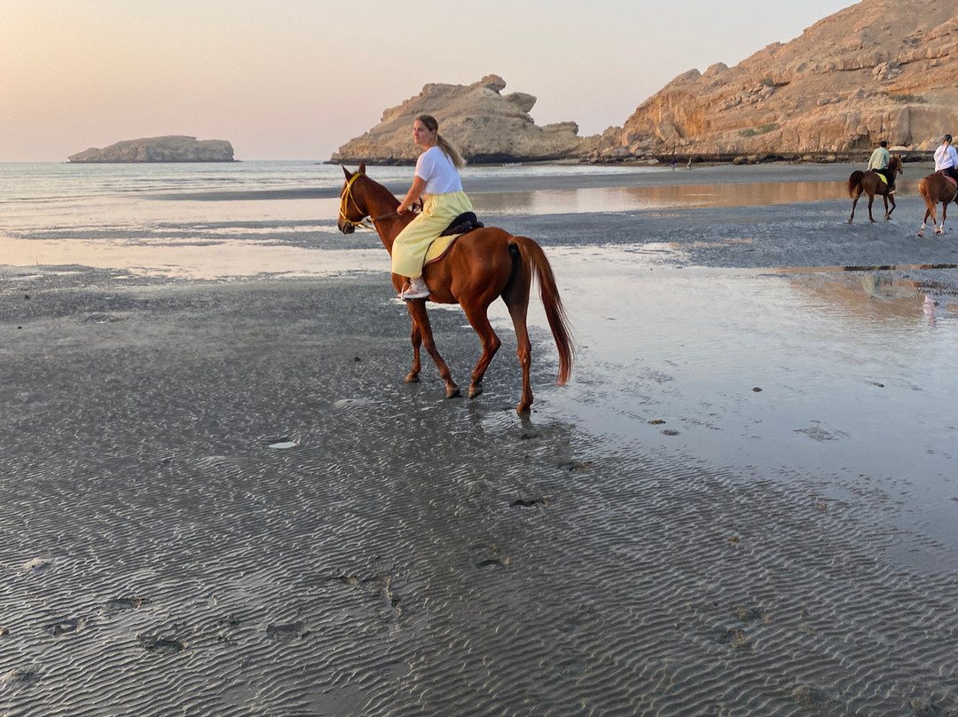 Horse Riding Oman-Barka必去景点