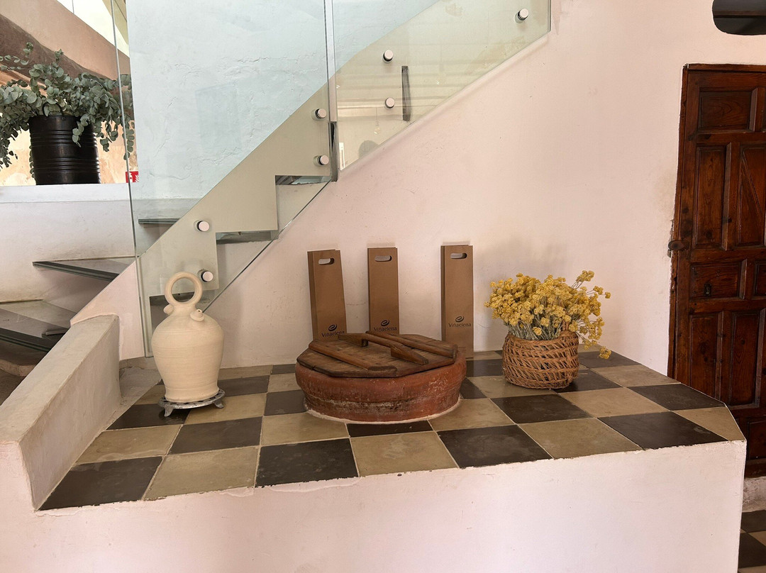 Vina Elena-Jumilla必去景点