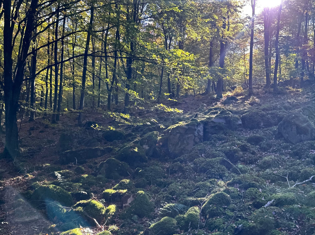 Tostarp Bed'n Ride-Ljungbyhed必去景点