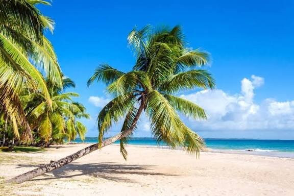 Sainte Marie Lodge主图