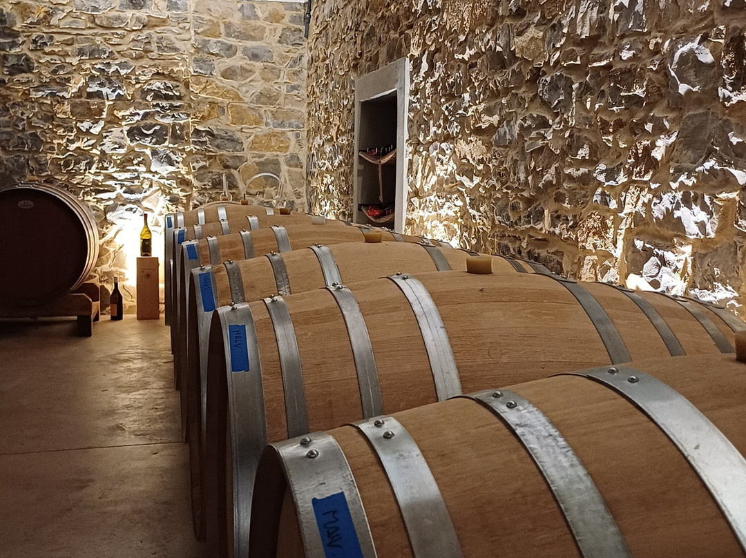 Tenuta Stella-Dolegna del Collio必去景点