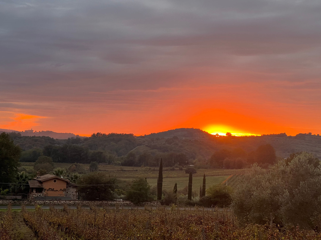Pileum, Il Ristorante
