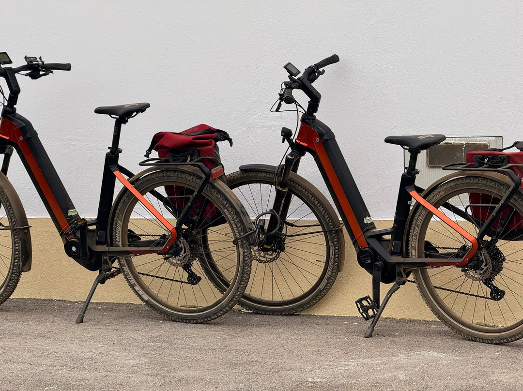 Avalanche Algarve-圣布拉德阿尔波特必去景点