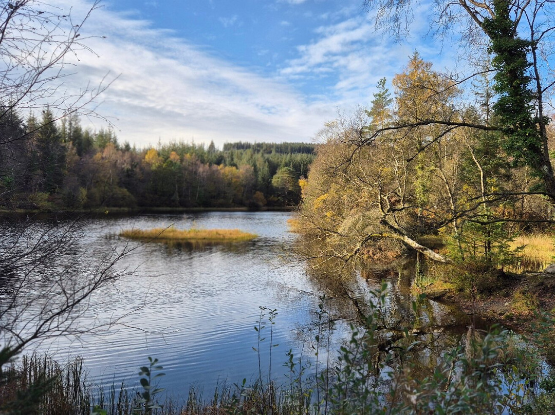 Kirroughtree - 7stanes-Newton Stewart必去景点