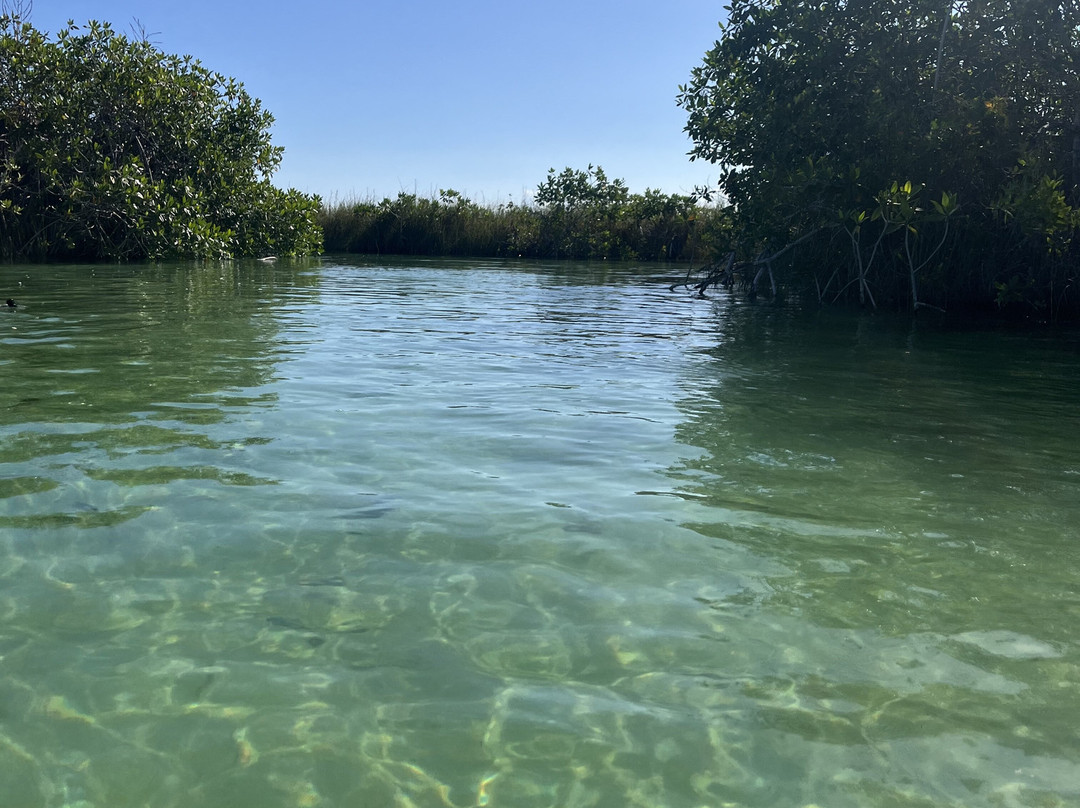 Zona Arqueológica de Muyil-Chunyaxche必去景点