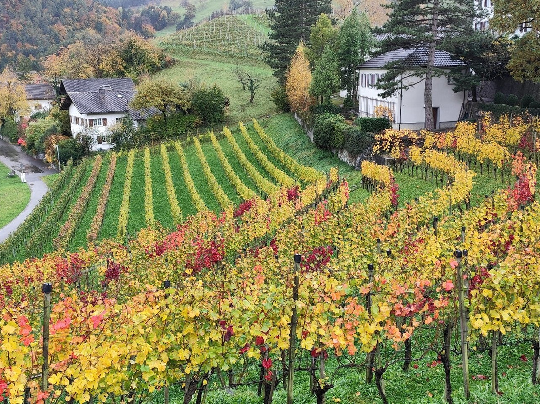 Burg Gutenberg-Balzers必去景点