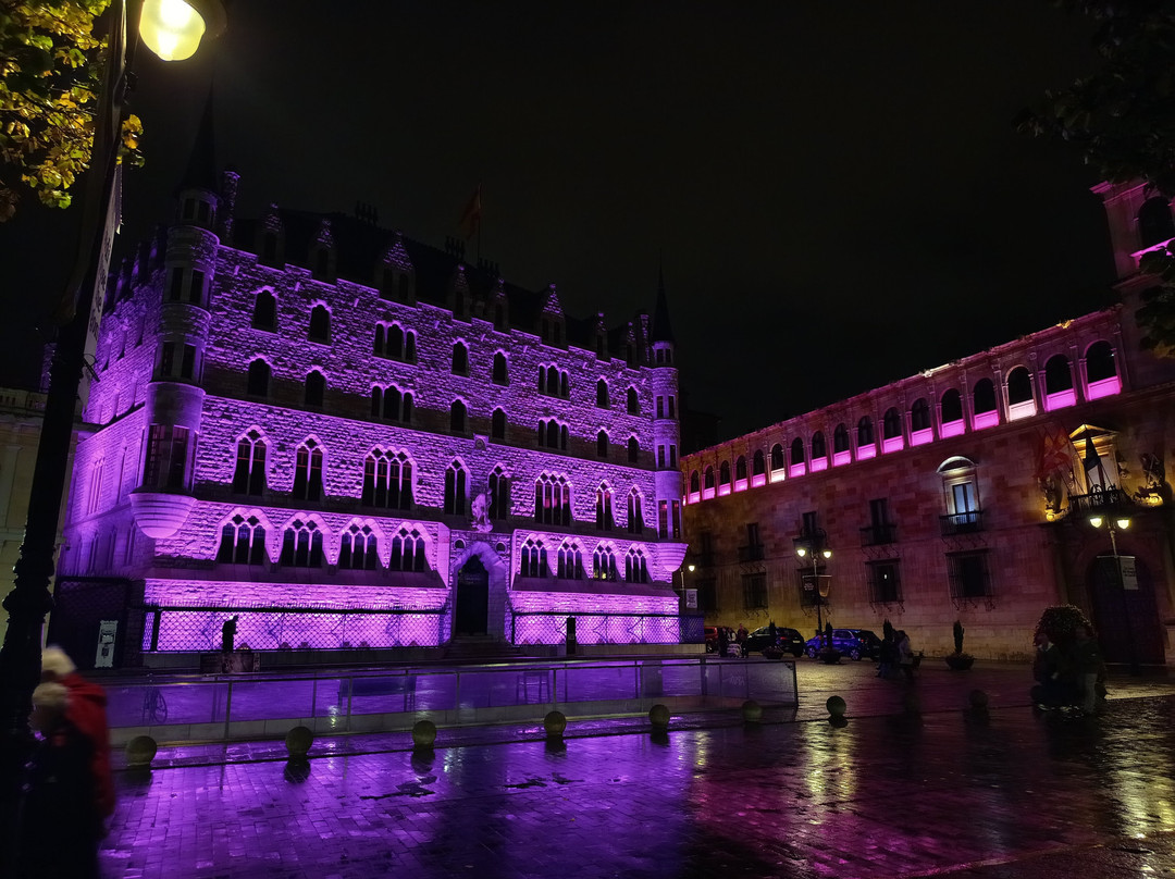 Palacio de los Guzmanes-莱昂必去景点