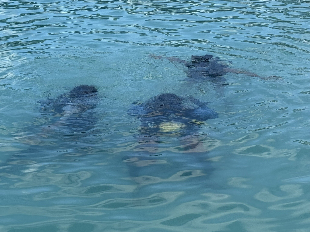 G Fish Watersports-布里奇顿必去景点