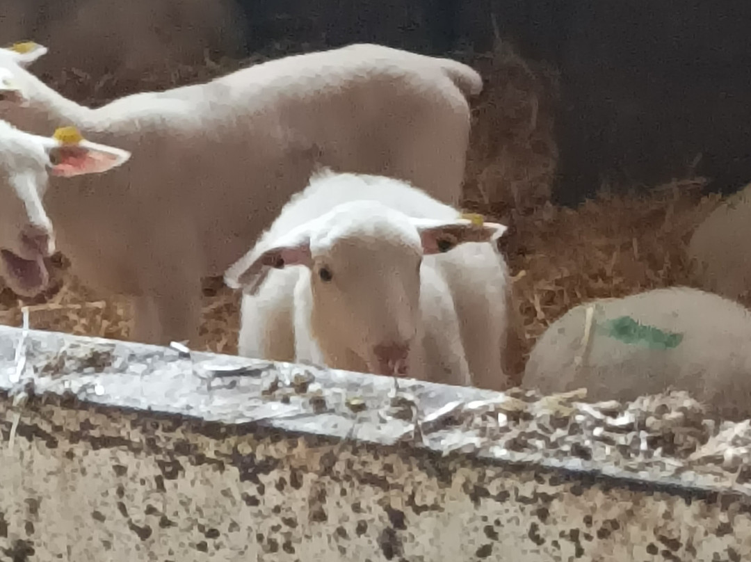 Ferme de Grignon-Thiverval-Grignon必去景点